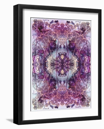 Symmetric Floral Montage from Flowers-Alaya Gadeh-Framed Photographic Print