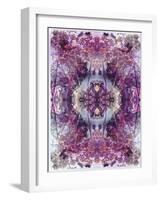 Symmetric Floral Montage from Flowers-Alaya Gadeh-Framed Photographic Print