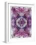 Symmetric Floral Montage from Flowers-Alaya Gadeh-Framed Photographic Print