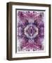 Symmetric Floral Montage from Flowers-Alaya Gadeh-Framed Photographic Print