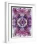 Symmetric Floral Montage from Flowers-Alaya Gadeh-Framed Photographic Print