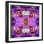 Symmetric Floral Montage of Rose Blossoms with Meadow Flowers-Alaya Gadeh-Framed Photographic Print