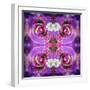 Symmetric Floral Montage of Rose Blossoms with Meadow Flowers-Alaya Gadeh-Framed Photographic Print