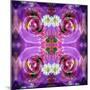 Symmetric Floral Montage of Rose Blossoms with Meadow Flowers-Alaya Gadeh-Mounted Photographic Print