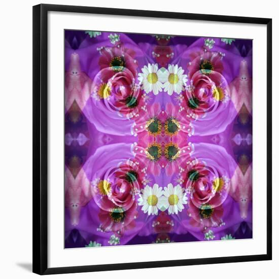 Symmetric Floral Montage of Rose Blossoms with Meadow Flowers-Alaya Gadeh-Framed Photographic Print