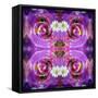 Symmetric Floral Montage of Rose Blossoms with Meadow Flowers-Alaya Gadeh-Framed Stretched Canvas