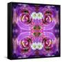 Symmetric Floral Montage of Rose Blossoms with Meadow Flowers-Alaya Gadeh-Framed Stretched Canvas