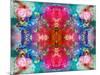 Symmetric Floral Montage with Red Blooming Rose Blossom, Cherry Blossoms and Spring Trees-Alaya Gadeh-Mounted Photographic Print