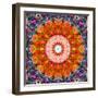 Symmetric Floral Montage with Red Blooming Rose Blossom, Cherry Blossoms and Spring Trees-Alaya Gadeh-Framed Photographic Print