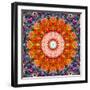 Symmetric Floral Montage with Red Blooming Rose Blossom, Cherry Blossoms and Spring Trees-Alaya Gadeh-Framed Photographic Print