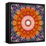 Symmetric Floral Montage with Red Blooming Rose Blossom, Cherry Blossoms and Spring Trees-Alaya Gadeh-Framed Stretched Canvas