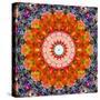 Symmetric Floral Montage with Red Blooming Rose Blossom, Cherry Blossoms and Spring Trees-Alaya Gadeh-Stretched Canvas