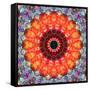 Symmetric Floral Montage with Red Blooming Rose Blossom, Cherry Blossoms and Spring Trees-Alaya Gadeh-Framed Stretched Canvas