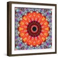 Symmetric Floral Montage with Red Blooming Rose Blossom, Cherry Blossoms and Spring Trees-Alaya Gadeh-Framed Photographic Print