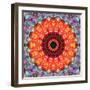 Symmetric Floral Montage with Red Blooming Rose Blossom, Cherry Blossoms and Spring Trees-Alaya Gadeh-Framed Photographic Print