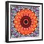 Symmetric Floral Montage with Red Blooming Rose Blossom, Cherry Blossoms and Spring Trees-Alaya Gadeh-Framed Photographic Print