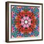 Symmetric Floral Montage with Red Blooming Rose Blossom, Cherry Blossoms and Spring Trees-Alaya Gadeh-Framed Photographic Print