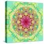 Symmetric Floral Montage-Alaya Gadeh-Stretched Canvas