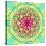 Symmetric Floral Montage-Alaya Gadeh-Stretched Canvas