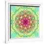 Symmetric Floral Montage-Alaya Gadeh-Framed Photographic Print