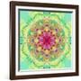 Symmetric Floral Montage-Alaya Gadeh-Framed Photographic Print