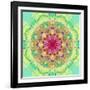 Symmetric Floral Montage-Alaya Gadeh-Framed Photographic Print