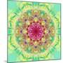 Symmetric Floral Montage-Alaya Gadeh-Mounted Photographic Print