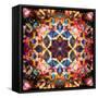 Symmetric Layer Work from Flower Photographs-Alaya Gadeh-Framed Stretched Canvas