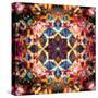 Symmetric Layer Work from Flower Photographs-Alaya Gadeh-Stretched Canvas