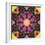 Symmetric Layer Work from Flower Photographs-Alaya Gadeh-Framed Photographic Print