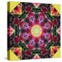 Symmetric Layer Work from Flower Photographs-Alaya Gadeh-Stretched Canvas