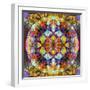 Symmetric Layer Work from Flower Photographs-Alaya Gadeh-Framed Photographic Print