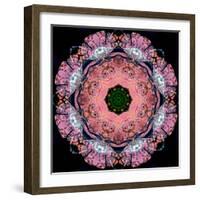 Symmetric Layer Work from Flower Photographs-Alaya Gadeh-Framed Photographic Print