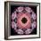 Symmetric Layer Work from Flower Photographs-Alaya Gadeh-Framed Photographic Print