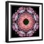 Symmetric Layer Work from Flower Photographs-Alaya Gadeh-Framed Photographic Print