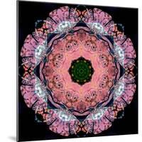 Symmetric Layer Work from Flower Photographs-Alaya Gadeh-Mounted Photographic Print