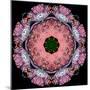 Symmetric Layer Work from Flower Photographs-Alaya Gadeh-Mounted Photographic Print