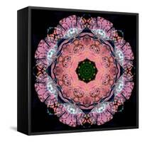 Symmetric Layer Work from Flower Photographs-Alaya Gadeh-Framed Stretched Canvas