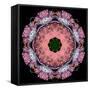 Symmetric Layer Work from Flower Photographs-Alaya Gadeh-Framed Stretched Canvas