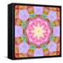 Symmetric Layer Work from Flowers Photographs-Alaya Gadeh-Framed Stretched Canvas