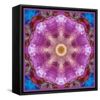 Symmetric Layer Work from Flowers Photographs-Alaya Gadeh-Framed Stretched Canvas