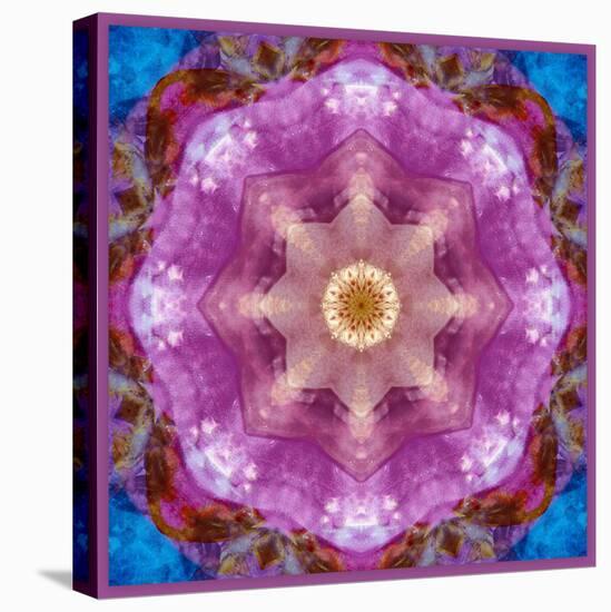 Symmetric Layer Work from Flowers Photographs-Alaya Gadeh-Stretched Canvas