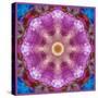 Symmetric Layer Work from Flowers Photographs-Alaya Gadeh-Stretched Canvas