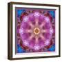 Symmetric Layer Work from Flowers Photographs-Alaya Gadeh-Framed Photographic Print