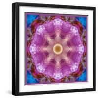 Symmetric Layer Work from Flowers Photographs-Alaya Gadeh-Framed Photographic Print