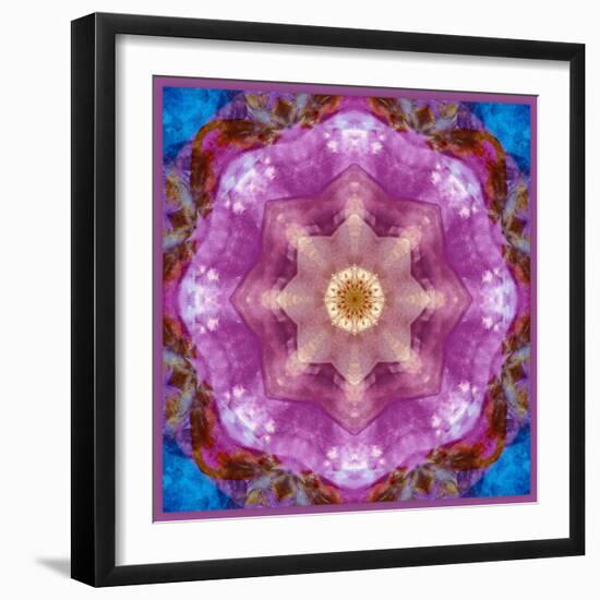 Symmetric Layer Work from Flowers Photographs-Alaya Gadeh-Framed Photographic Print