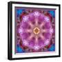 Symmetric Layer Work from Flowers Photographs-Alaya Gadeh-Framed Photographic Print