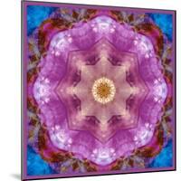 Symmetric Layer Work from Flowers Photographs-Alaya Gadeh-Mounted Photographic Print