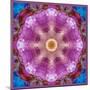 Symmetric Layer Work from Flowers Photographs-Alaya Gadeh-Mounted Photographic Print