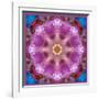 Symmetric Layer Work from Flowers Photographs-Alaya Gadeh-Framed Photographic Print